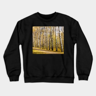 Birch alley in autumn Crewneck Sweatshirt